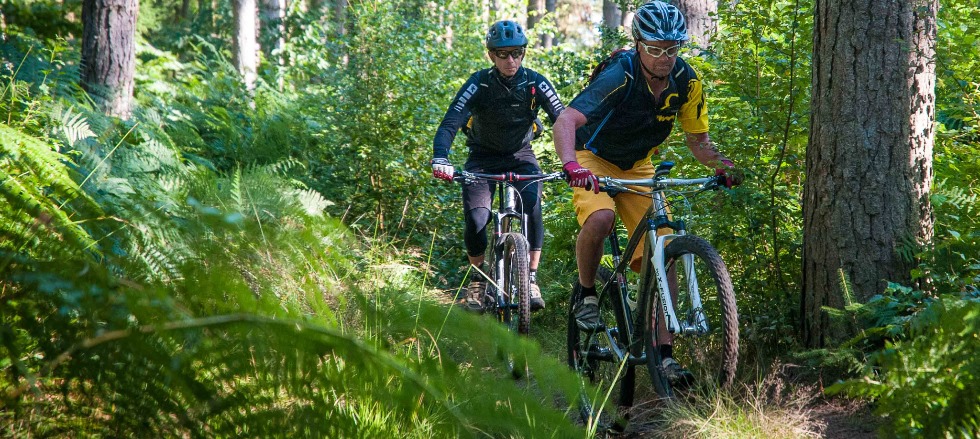 Mountain bike guiding in the Surrey Hills