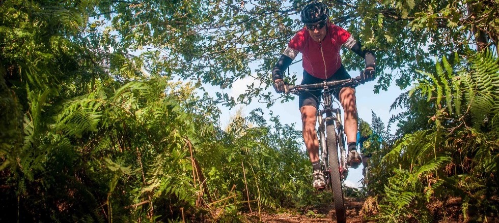 Mountain bike guiding in the Surrey Hills