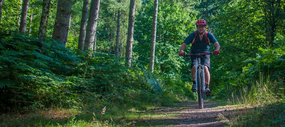 Mountain bike guiding in the Surrey Hills